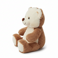 Teddy Bear Side View